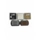 Tampon branches d'olivier encreur