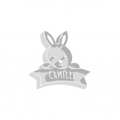 Emporte-pi&egrave;ce bapt&ecirc;me personnalis&eacute; petit lapin sabl&eacute;s maison