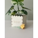 Kit à planter, petite plante pour maîtresse nounou atsem