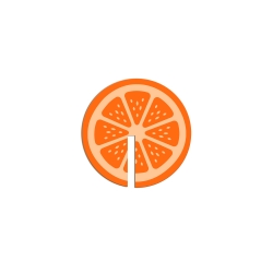 Marque-verre rondelle d'orange