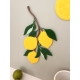 Décoration d'intérieur maison design, grappe de citrons plexiglas