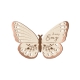 Invitation anniversaire papillon, invitation originale en bois